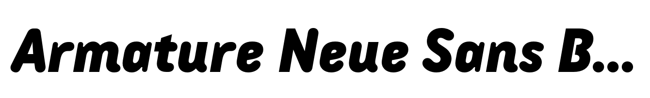 Armature Neue Sans Black Italic